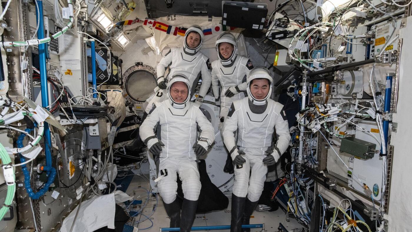 NASA to bring Crew-11 home from space for medical reasons : NPR