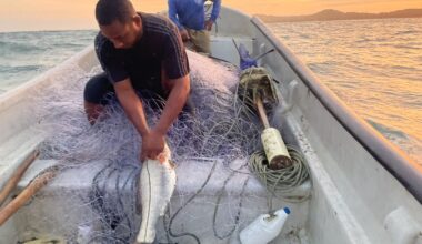 U.S. boat strikes leave Colombian fishermen in fear, fail to curb cocaine flow : NPR