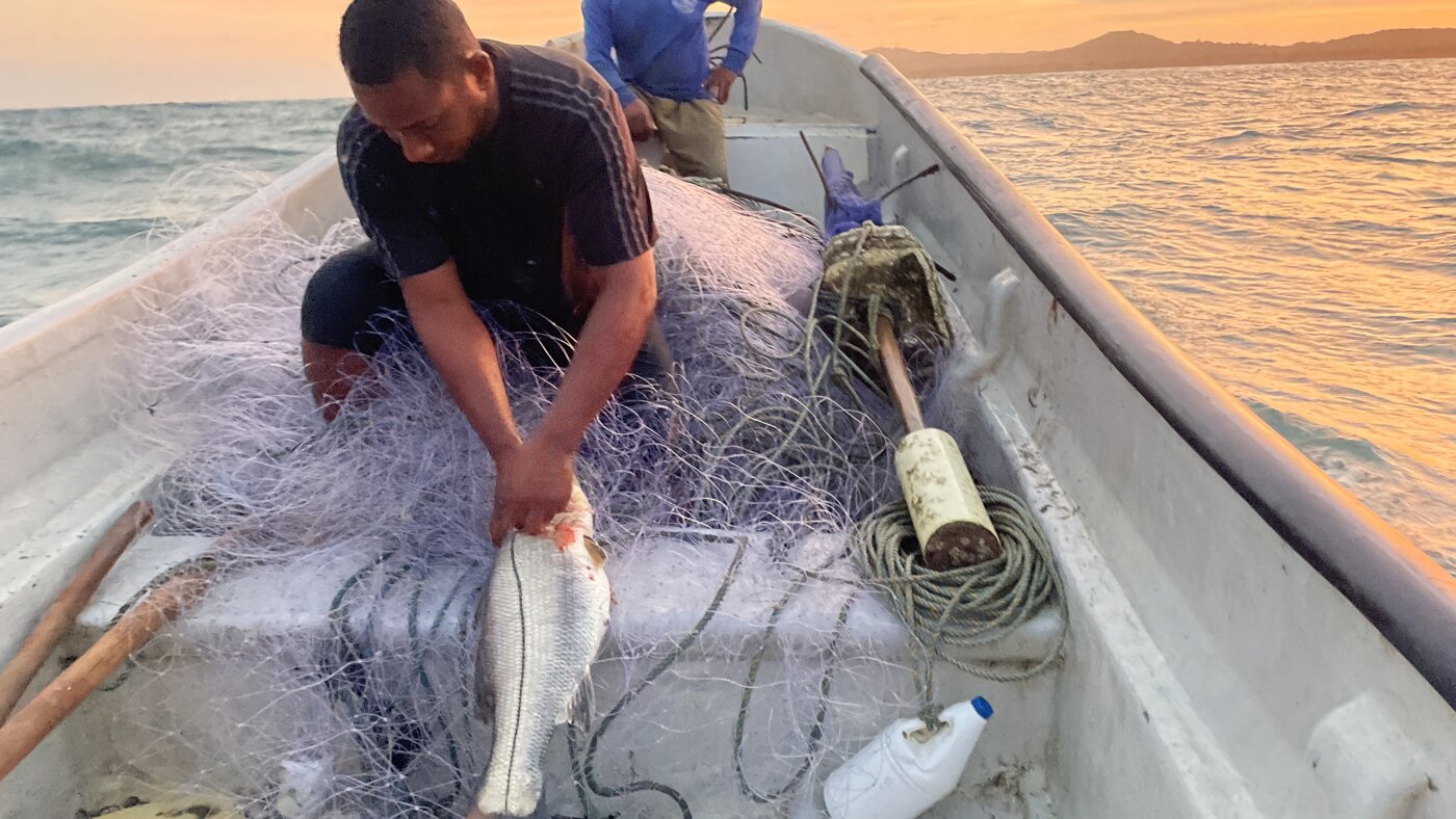 U.S. boat strikes leave Colombian fishermen in fear, fail to curb cocaine flow : NPR