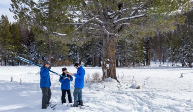 Latest snowpack measurements show California water supplies in decent shape