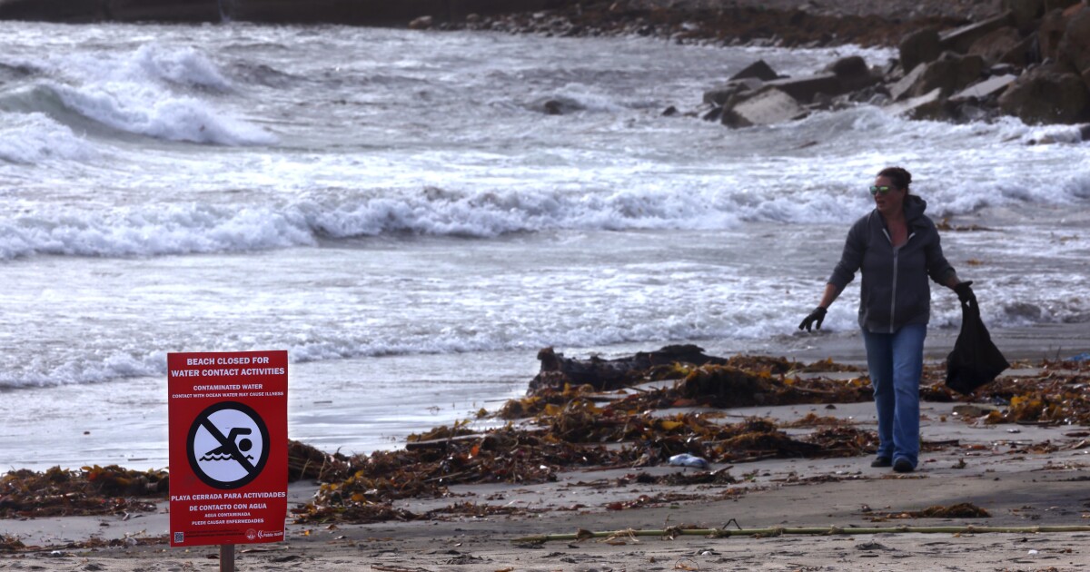 Could a sewage spill and more rain cancel a beloved New Year’s Day tradition at Cabrillo Beach?