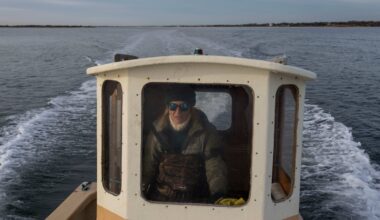 For WNBA players, second careers are a necessity. Their next chapters take them on unexpected paths