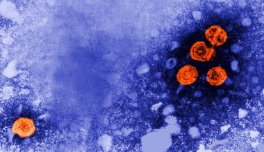 Guinea-Bissau suspends Trump-backed hepatitis B vaccine study for ethical review