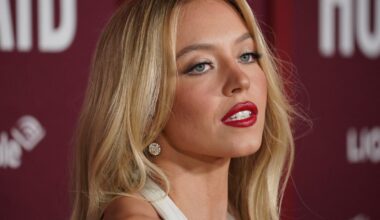 Sydney Sweeney hung bras on the Hollywood sign without permission