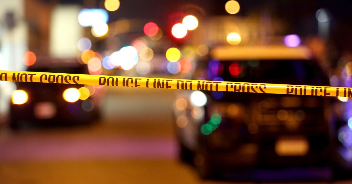 LAPD investigation continues into New Year's Eve shooting by ICE agent