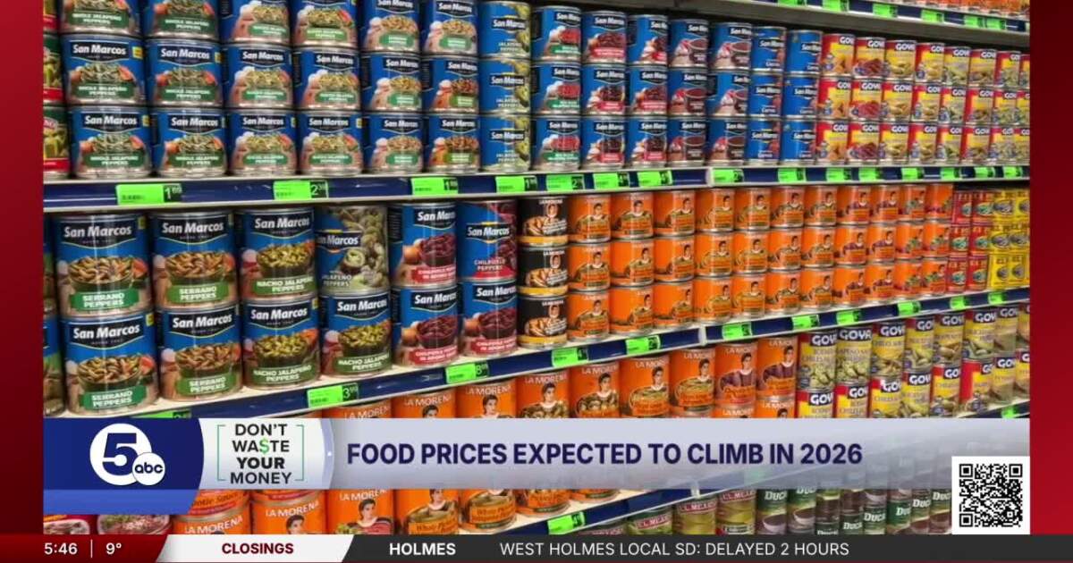 Grocery costs expected to climb in 2026