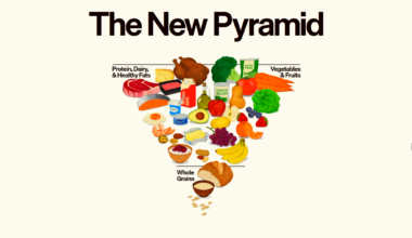 Local dietitian questions new food pyramid changes - InForum