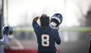 Patriots now favored by only 3.5 after bettors back Broncos