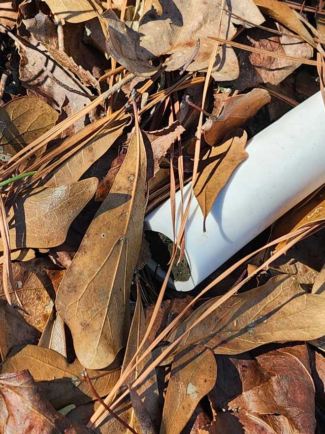 Pipe bomb found on property in Jasper