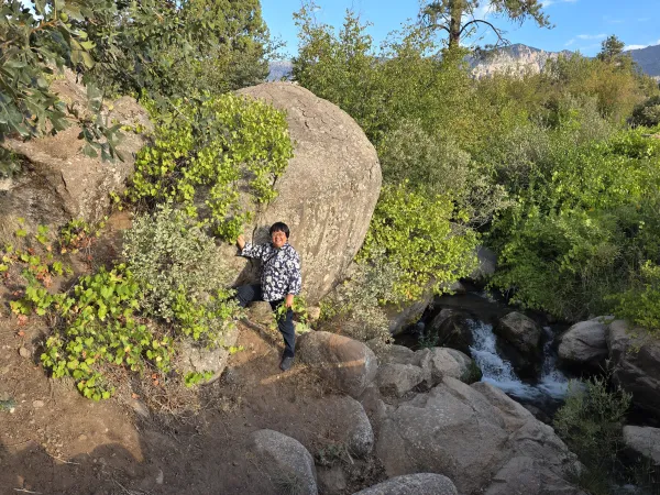 Jun Wen in the middle of a patch of Vitis arizonica