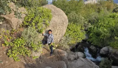 Jun Wen in the middle of a patch of Vitis arizonica