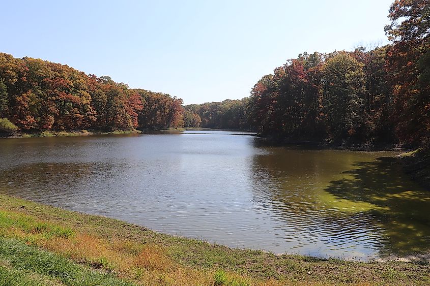 White Oak Lake in Shimek State Forest, Iowa. By Iowauniguy - Own work, CC BY-SA 4.0, Wikimedia Commons.
