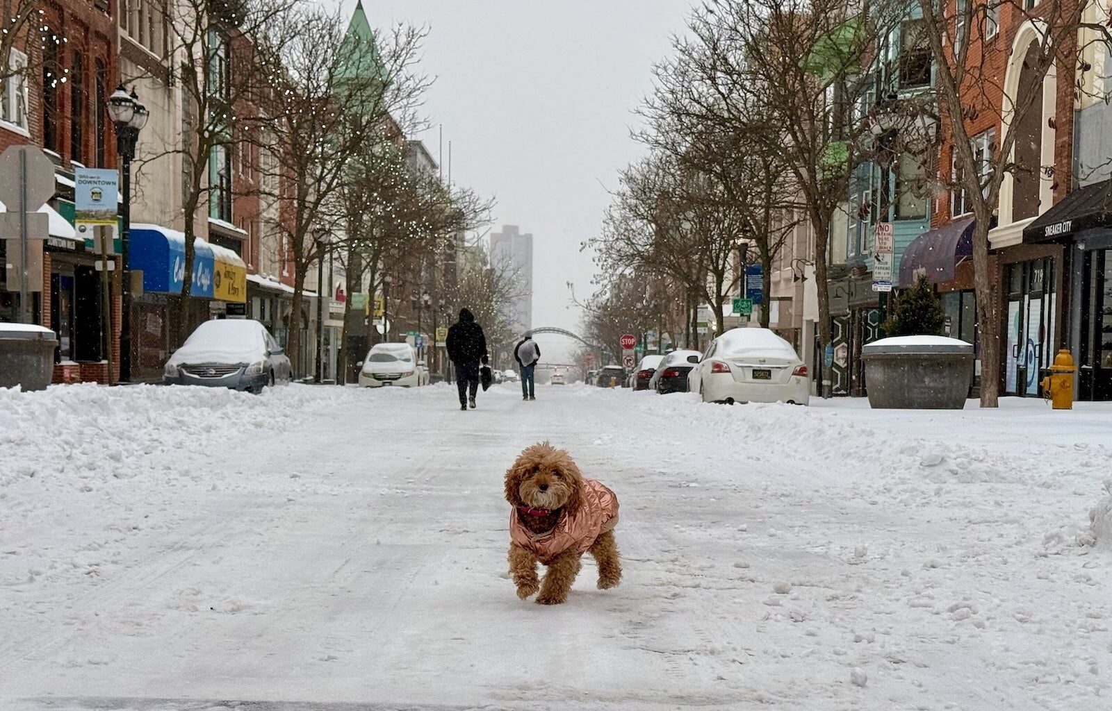 Philadelphia snow updates: Latest forecast; snowfall totals