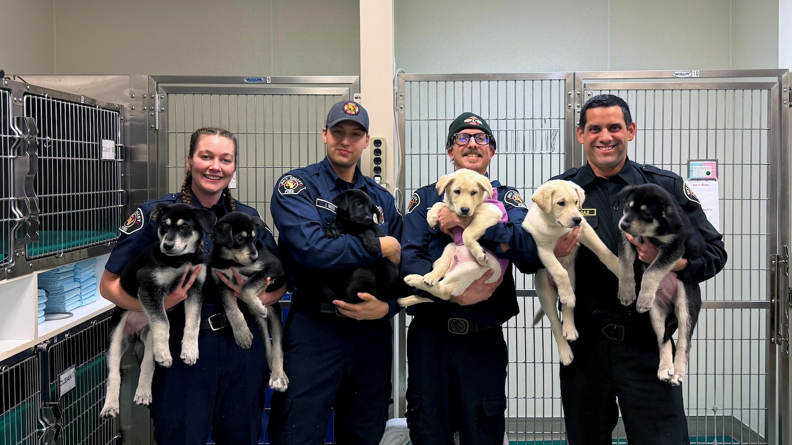 6 puppies treated for suspected opioid overdose will find new homes soon
