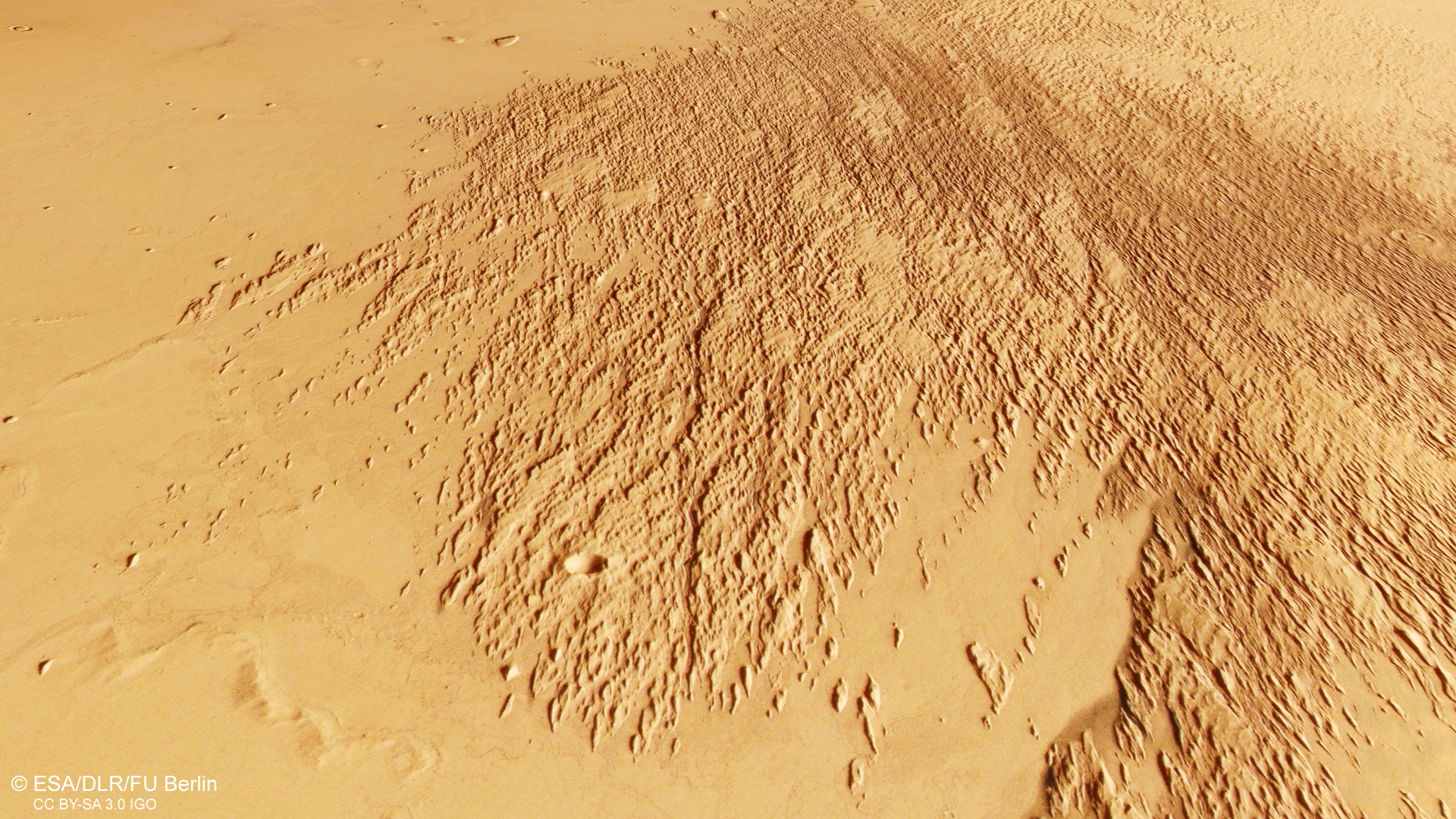 A section of Mars’s surface showing a broad area covered with dense, elongated ridges and grooves that fan out diagonally across the image. The terrain is rough and textured in this region, contrasting with the smoother, lighter-coloured surrounding plains. The overall colour is a mix of tan and reddish-brown tones.