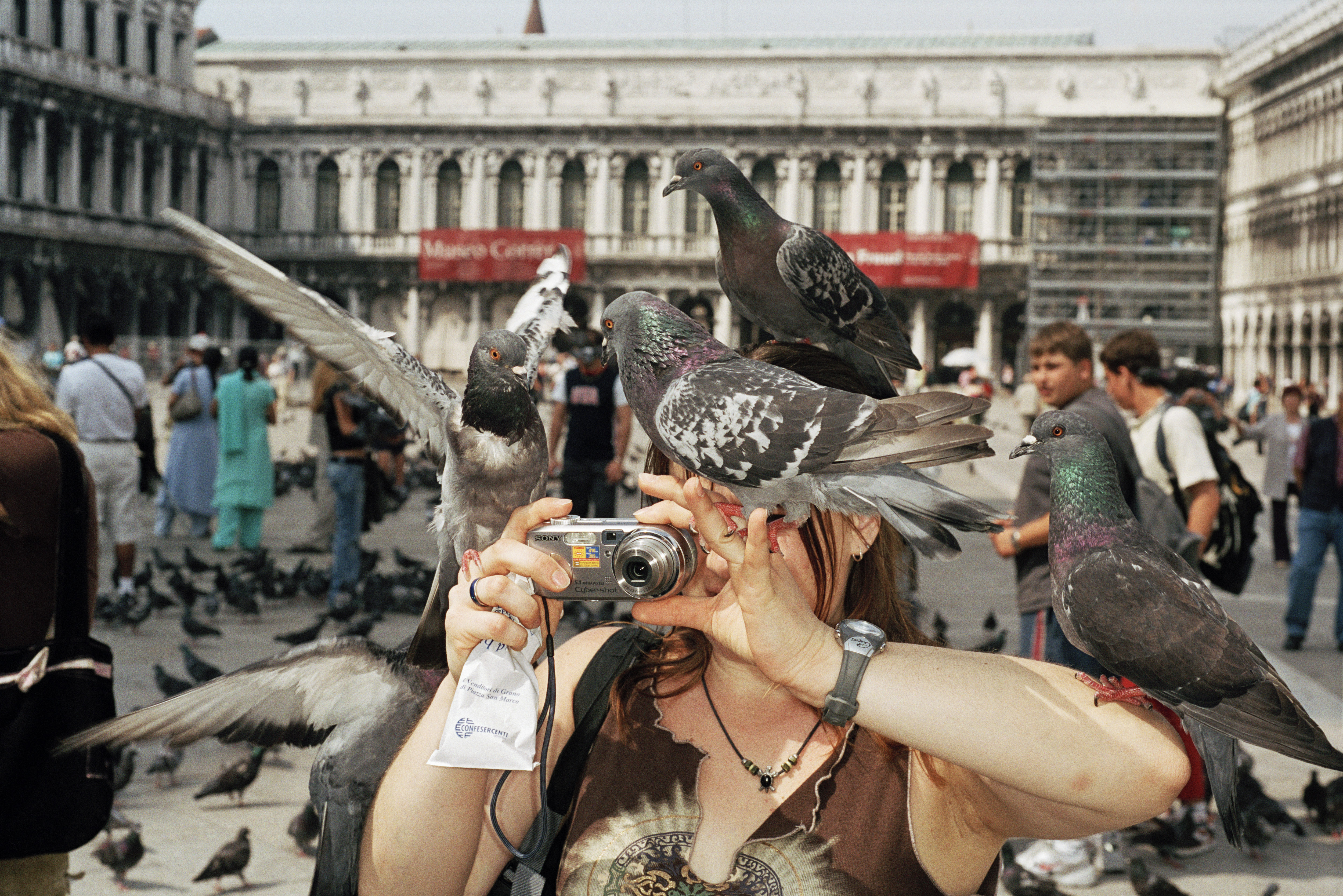 A tourist taking a photo while pigeons perch on her head, arm, and camera.