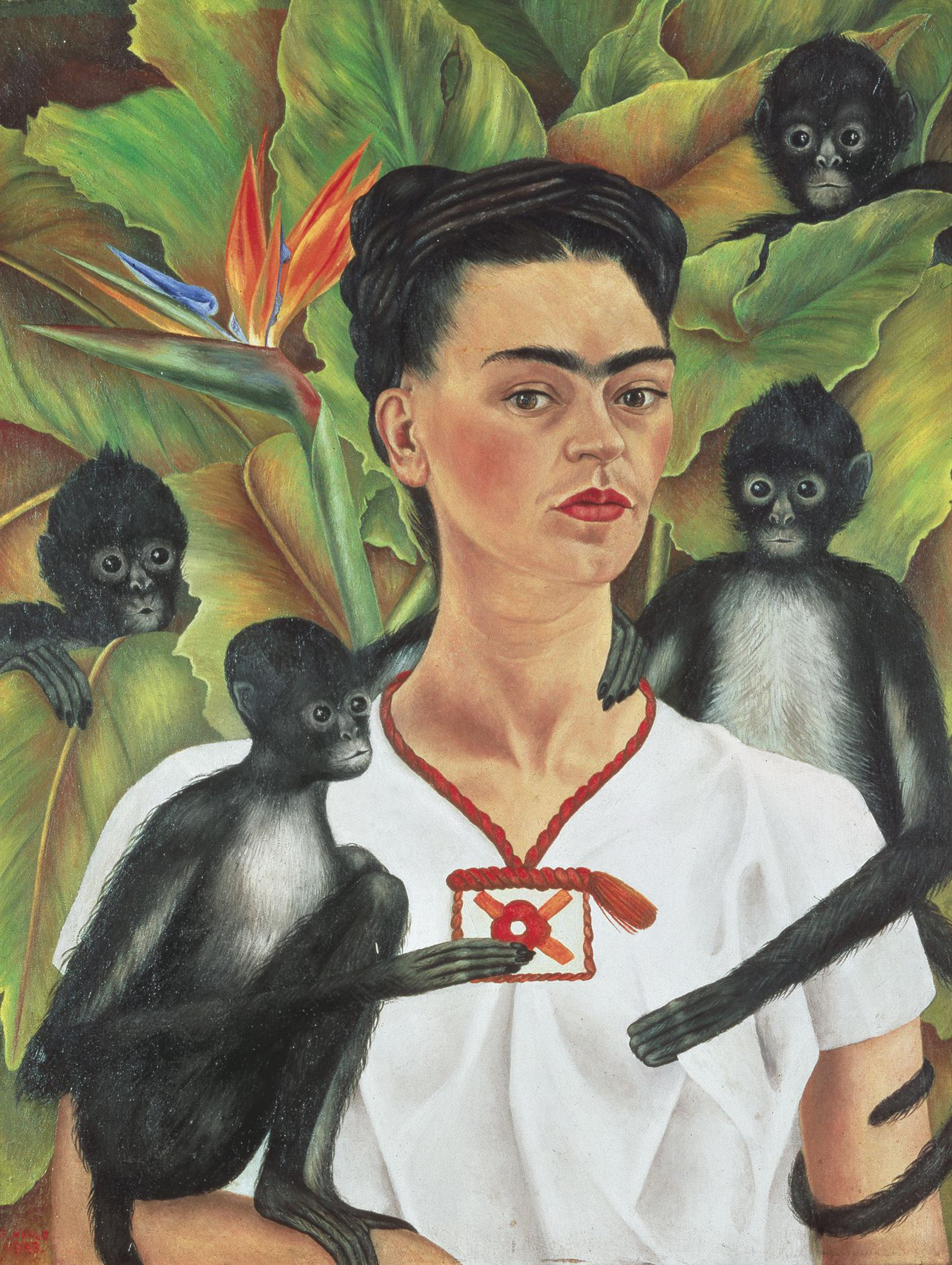 Illustration of Frida Kahlo in a white dress, with four monkeys on her shoulders and chest, against a background of large green leaves and a bird of paradise flower.