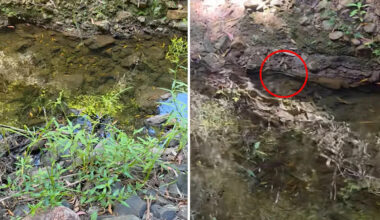 Camper's close call near creek sparks warning to Aussies: 'Be careful'