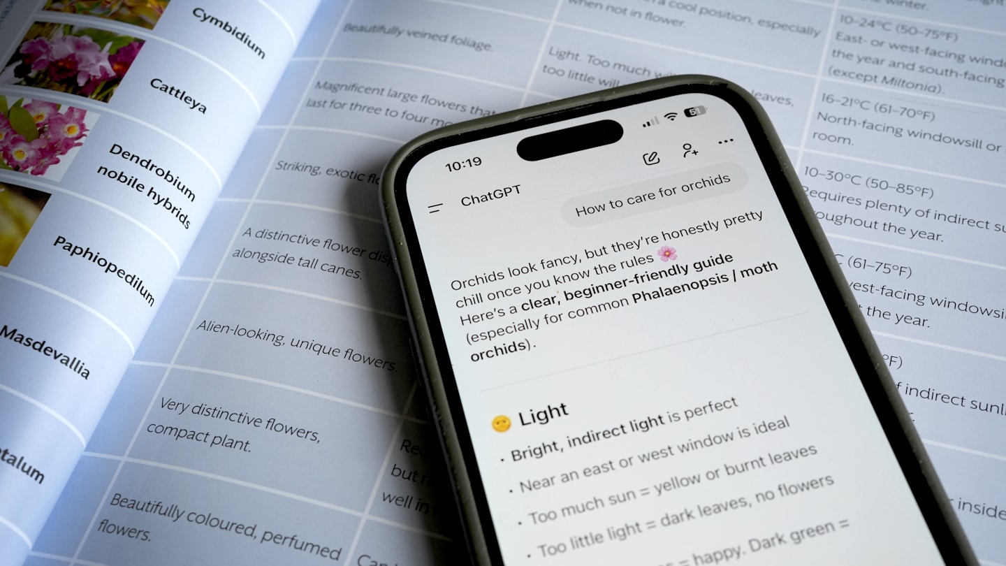 OpenAi CEO Sam Altman on 'The Tonight Show'
