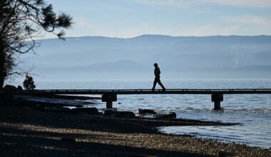 Winter storms drive surge of property damage, shoreline erosion on Flathead Lake