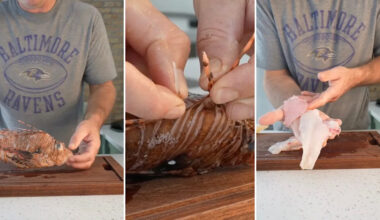 Yahoo lifestyle home