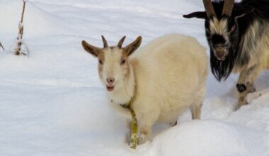 Yahoo lifestyle home