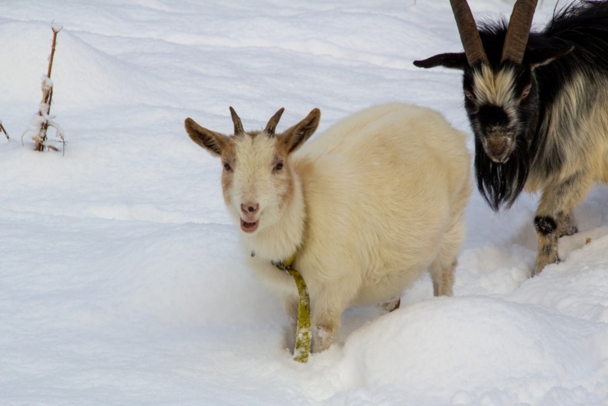 Yahoo lifestyle home