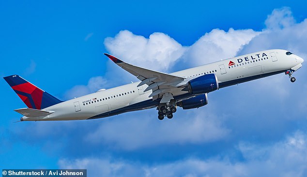 AI may be able to find the cheapest hotel room or flight in seconds, but it cannot replace the aircraft, crews and infrastructure required to move passengers across the country