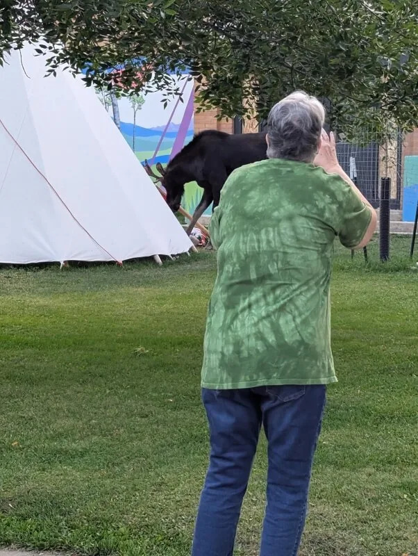 One visitor shared photos of several people at Yellowstone National Park approaching a young bull moose for a close-up.
