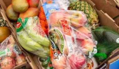 Chamah To Distribute Food Boxes Today