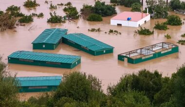 EU countries need to 'urgently coordinate' to adapt to climate change, EU's advisory board warns