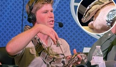 Robert Irwin brings snake to Super Bowl Radio Row