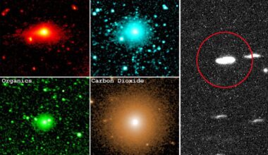 ATLAS' organic molecules seeded cosmos with life: scientists