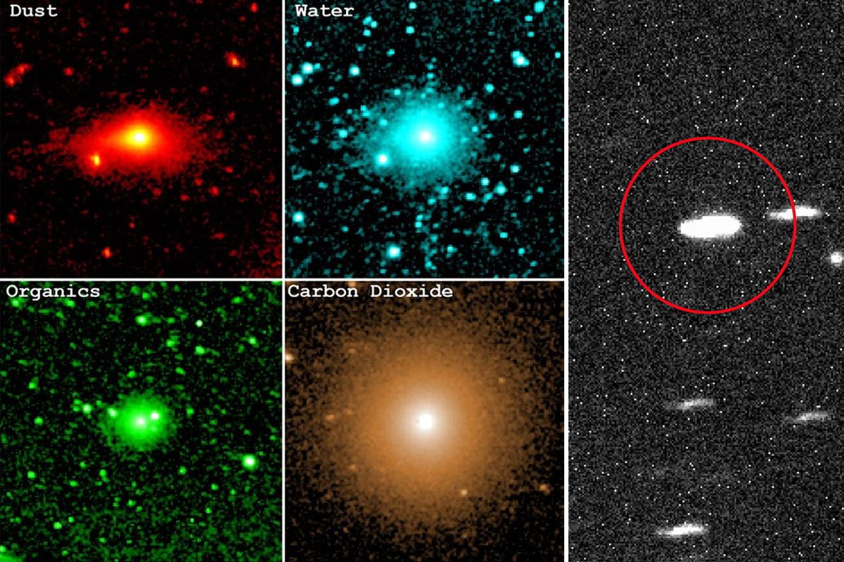 ATLAS' organic molecules seeded cosmos with life: scientists