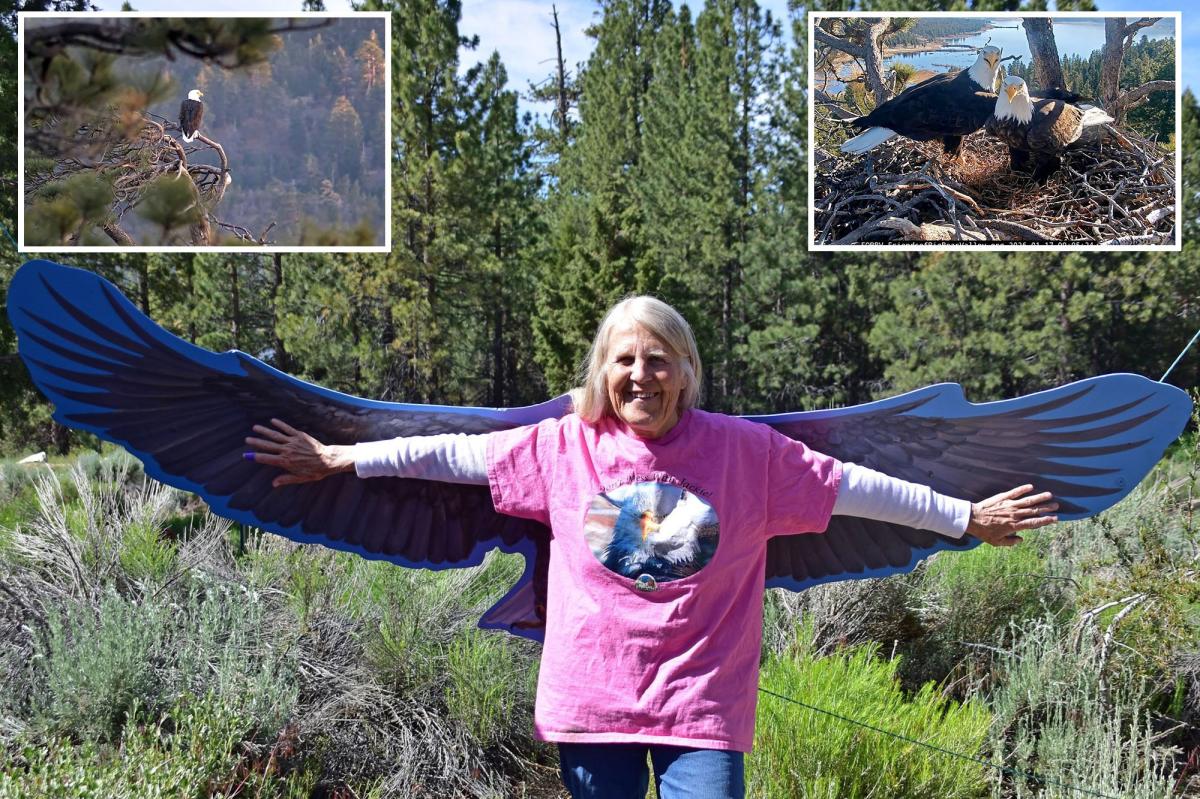 Voice of famed Big Bear bald eagle cam tragically passes away
