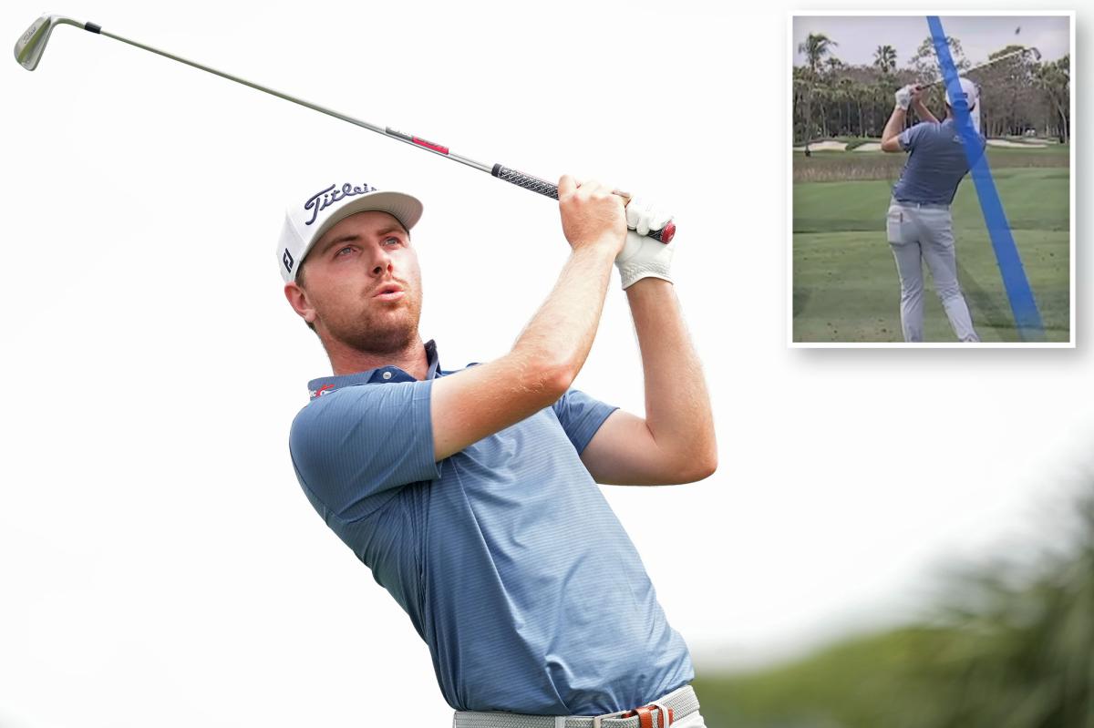 PGA Tour golfer Ryan Gerard hits bird with tee shot in Florida