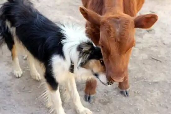 128ef92edeeaa694841d4021a99611de.jpg 128ef92edeeaa694841d4021a99611de.jpg