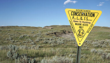 Importance of private land for wildlife, hunting In ND | News, Sports, Jobs