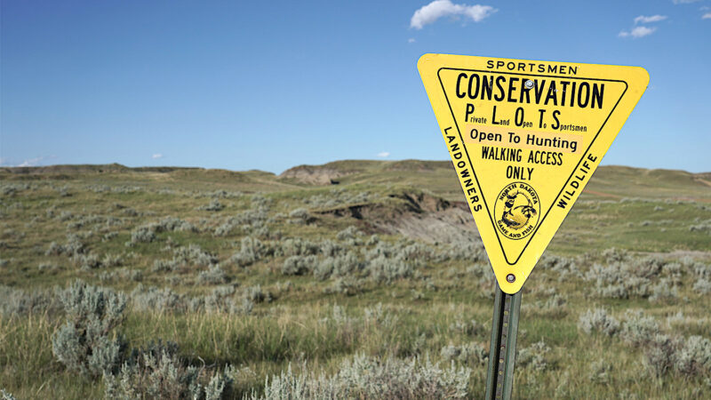 Importance of private land for wildlife, hunting In ND | News, Sports, Jobs