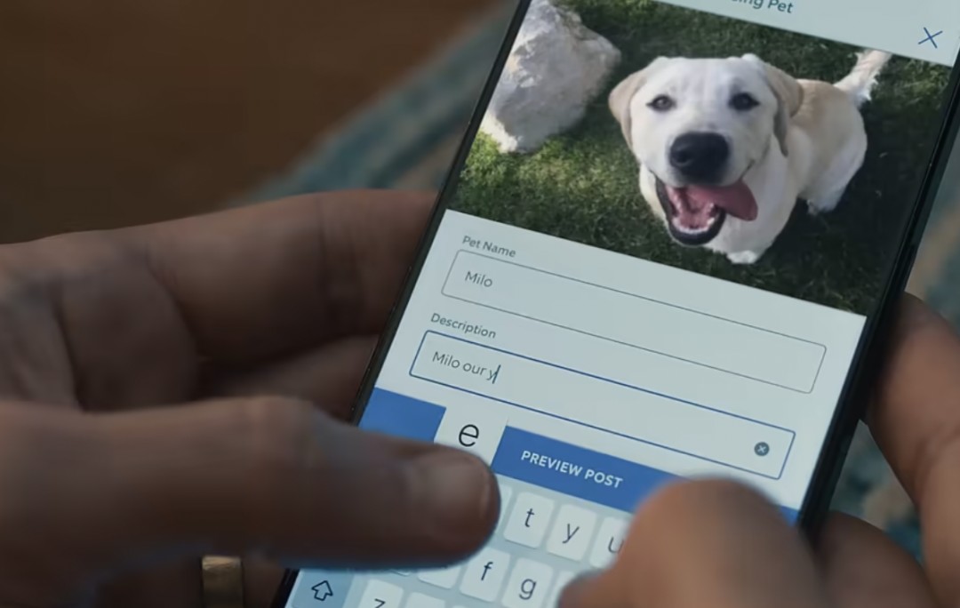 Ring Offers New Tool for Owners of Lost Pets