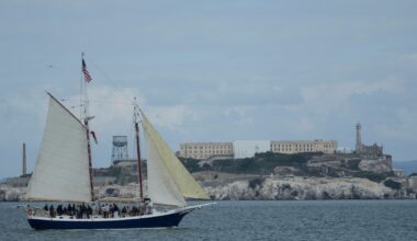 Coyote Who Made It to Alcatraz Will Soon Get the Boot
