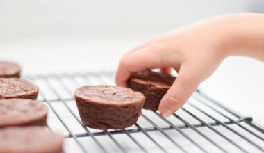 Child Obesity Hits Record High, as Adult Rates Level Off