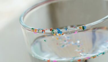 Microplastics Abound in Prostate Tumors