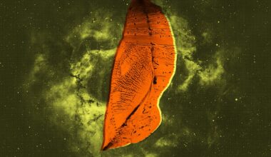 Galactic Monsters Grew in Cocoons Like Giant Bugs, Scientists Say