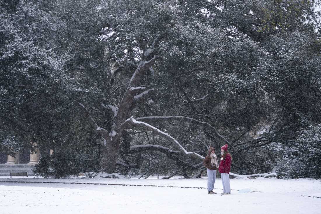 Snow falls at the University of South Carolina on Saturday in Columbia, S.C. 