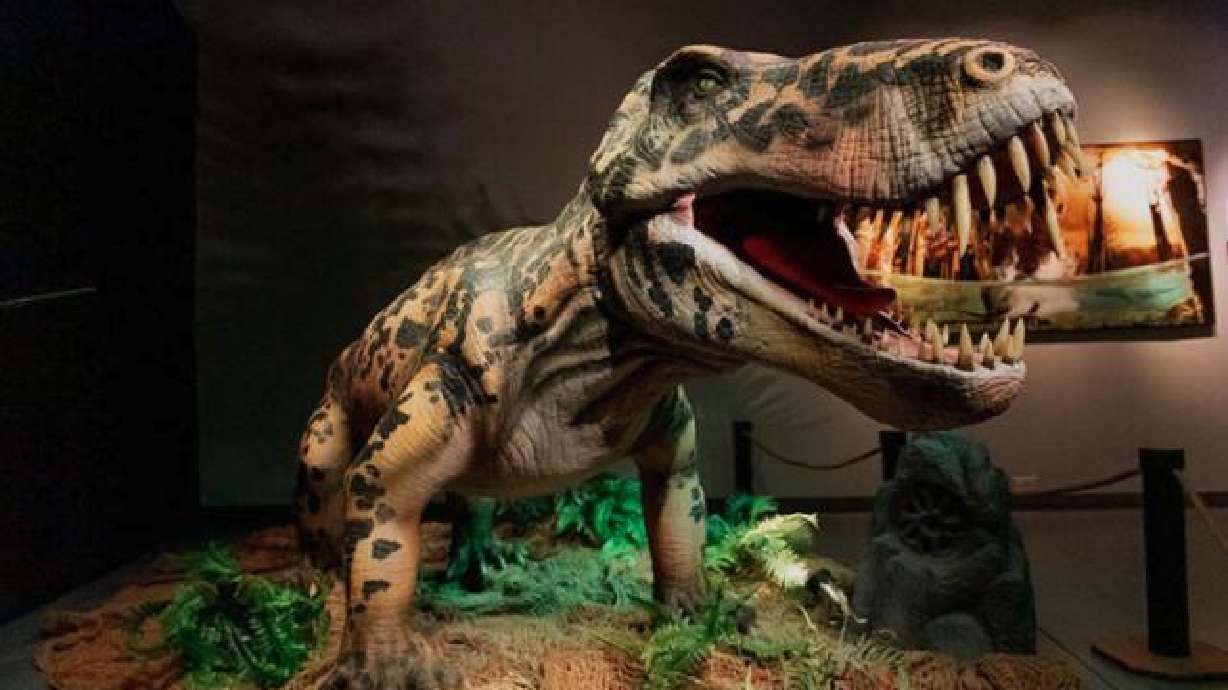 Museum of Idaho launches new exhibit exploring 'Life Before Dinosaurs'