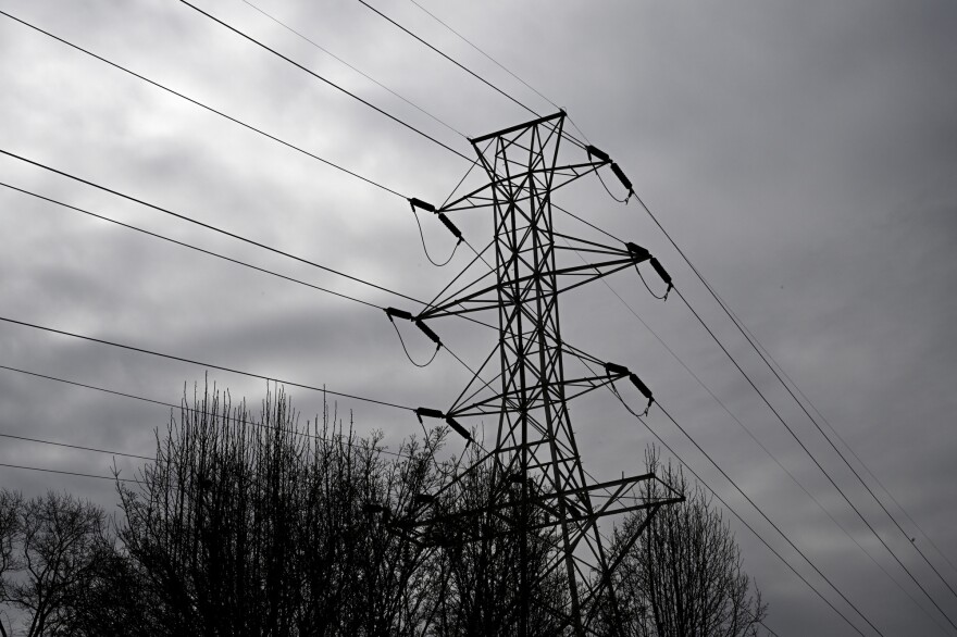 Power lines soar above a treeline.