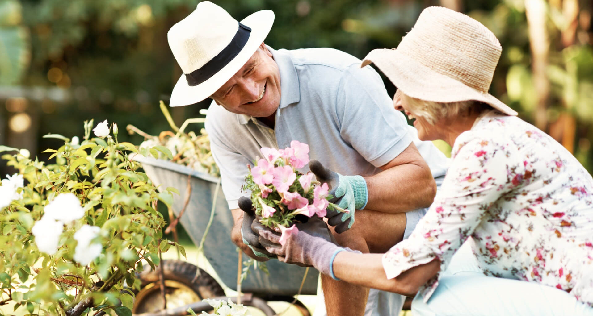 Shot of a smiling senior couple gardening in their yard.