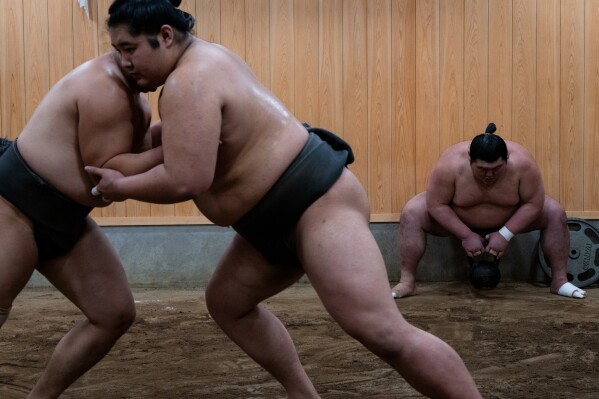 Sumo wrestlers train during a morning practice at Ajigawa stable in Tokyo, Feb. 4, 2026. (AP Photo/Louise Delmotte, File)