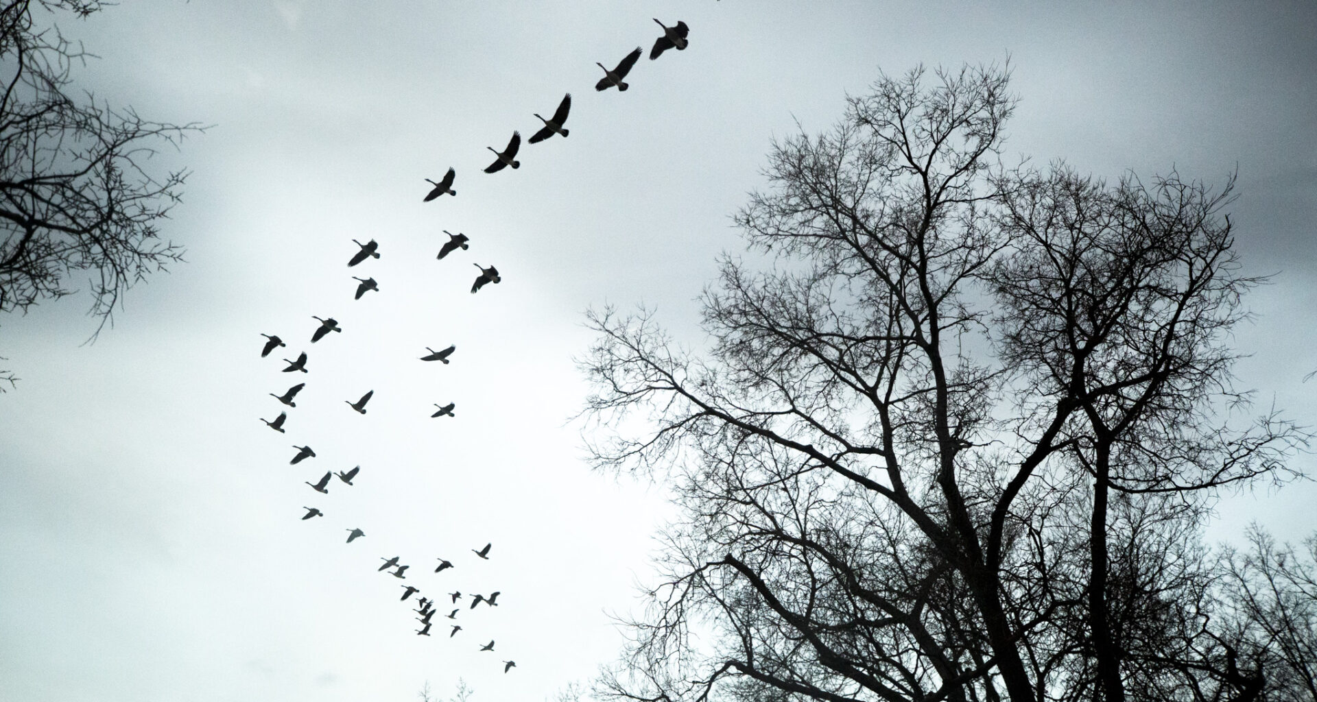 Denver falls into severe drought
